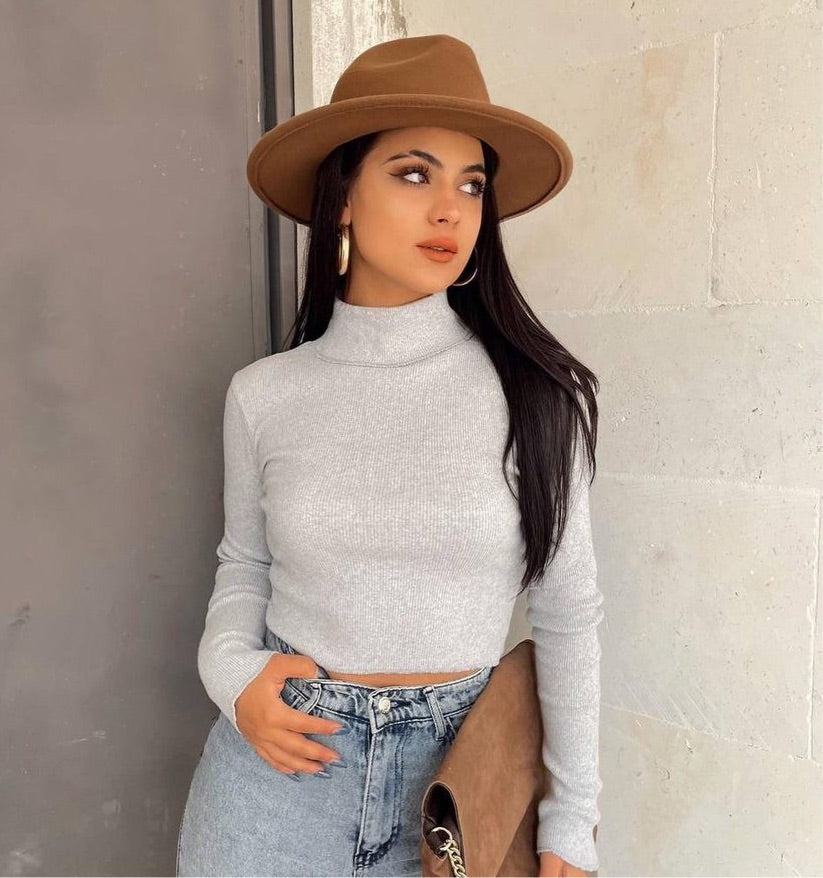 Top هاينك رصاصي ساده - high neck grey 